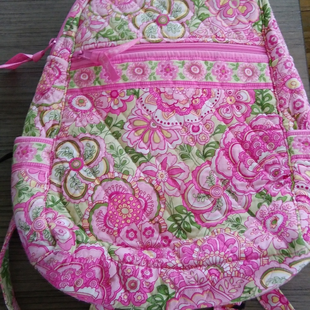 Back pack purse